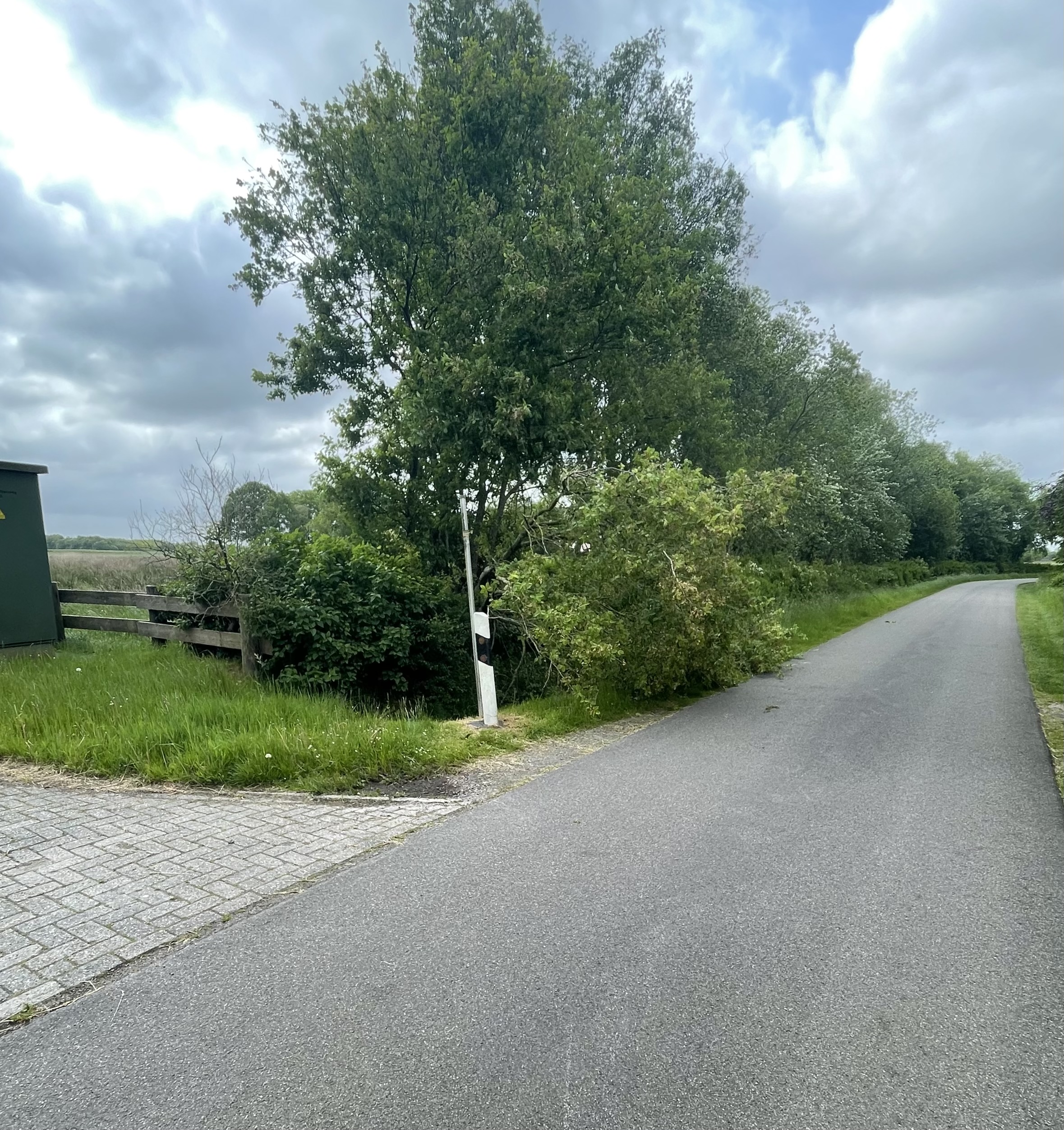 TH_Sturmschaden_klein